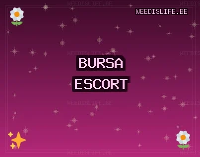 Bursa Escort: Nilüfer Escort, Mudanya Escort, Keles Escort