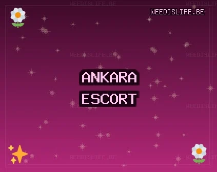 Ankara Escort: Mamak Escort, Pursaklar Escort, Altındağ Escort
