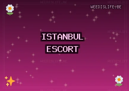 İstanbul Escort: Şişli Escort, Sarıyer Escort, Zeytinburnu Escort